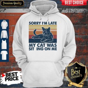 Vintage Sorry I'm Late My Cat Was Sitting On Me Vintage Hoodie