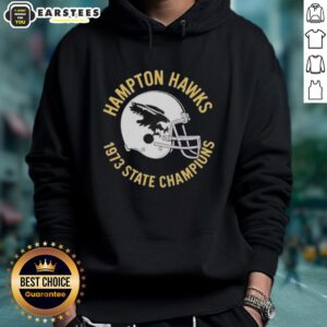 Alt Text: Vintage Nice Hampton Hawks 1973 State Champions helmet hoodie, showcasing team pride and nostalgic sports apparel.