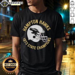 Nice Hampton Hawks 1973 State Champions helmet t-shirt featuring vintage design and team colors, perfect for fans.