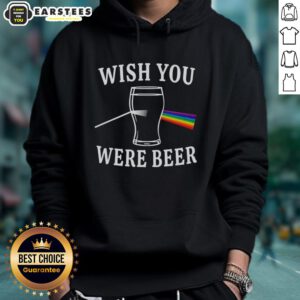Premium 'Wish You Were Beer' hoodie featuring The Dark Side of the Moon light scattering design, perfect for beer lovers.