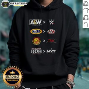Official More Comparative AEW WWE CMLL AAA NJPW TNA ROH NXT 2025 Hoodie featuring logos of top wrestling promotions.