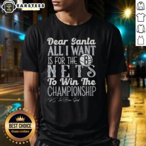 Awesome 'Dear Santa, All I Want Is For The Brooklyn Nets To Win The Championship' t-shirt design for fans.
