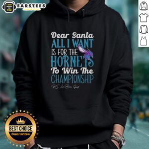 Awesome Dear Santa hoodie featuring 'All I Want Is For The Charlotte Hornets To Win The Championship' design.