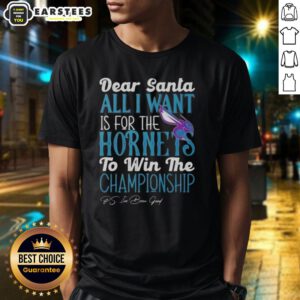 Alt Text: Awesome Dear Santa t-shirt featuring 'All I Want Is For The Charlotte Hornets To Win The Championship' design.