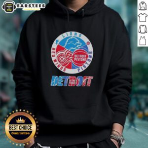 Awesome Detroit City Sports hoodie featuring Lions, Pistons, and Red Wings logos, perfect for fans and sports enthusiasts.
