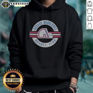Alt Text: Vintage Quebec Nordiques hoodie showcasing classic design and vibrant colors, perfect for fans and collectors.