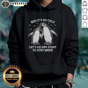 Awesome Bro hoodie featuring a fun design: 'It's So Cold, Let's Do Gay Stuff to Stay Warm' for cozy winter vibes.