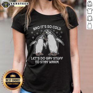 Awesome Bro It's So Cold Let's Do Gay Stuff Ladies Tee featuring a fun, colorful design perfect for winter warmth.