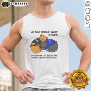 Alt Text: Two male cats playfully fighting and then napping together in a closet, showcasing their funny rivalry at home.