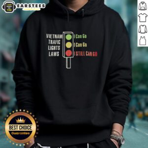 Original Vietnam Traffic Lights Laws hoodie featuring green, yellow, and red signals with fun text about traffic rules.