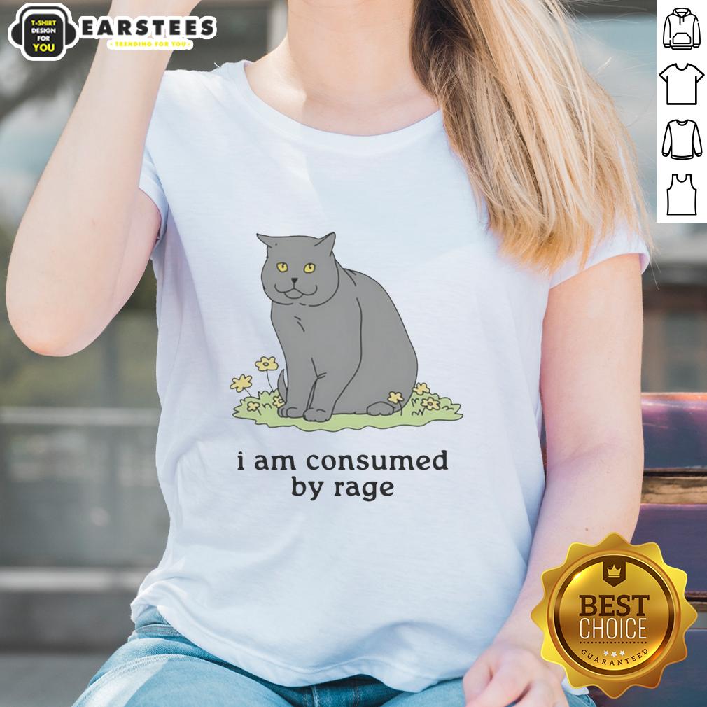 Premium Cat I Am Consumed By Rage Ladies Tee featuring a bold graphic design for cat lovers.