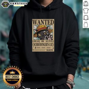 Alt Text: Nice Schrodinger Cat Pirate Hoodie featuring a playful cat design, perfect for fans of quirky science-themed apparel.