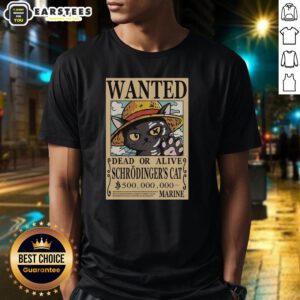 Alt Text: Nice Schrdinger Cat Pirate T-Shirt featuring a playful cat in pirate attire, perfect for cat lovers and humor enthusiasts.
