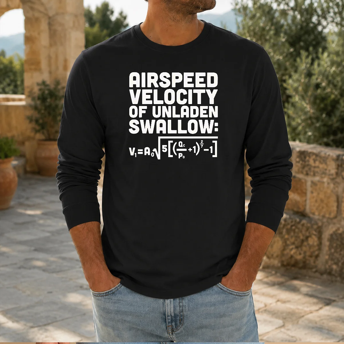 Funny Airspeed Velocity Of Unladen Swallow And Equation Science Nerd Shirt - Image 5