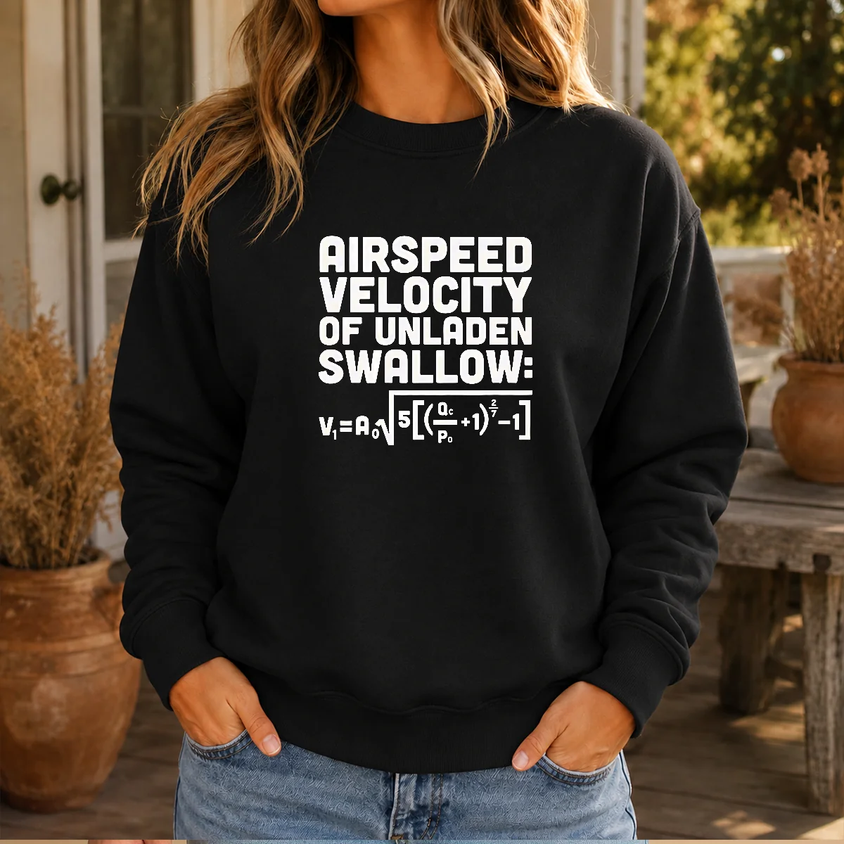 Funny Airspeed Velocity Of Unladen Swallow And Equation Science Nerd Sweater