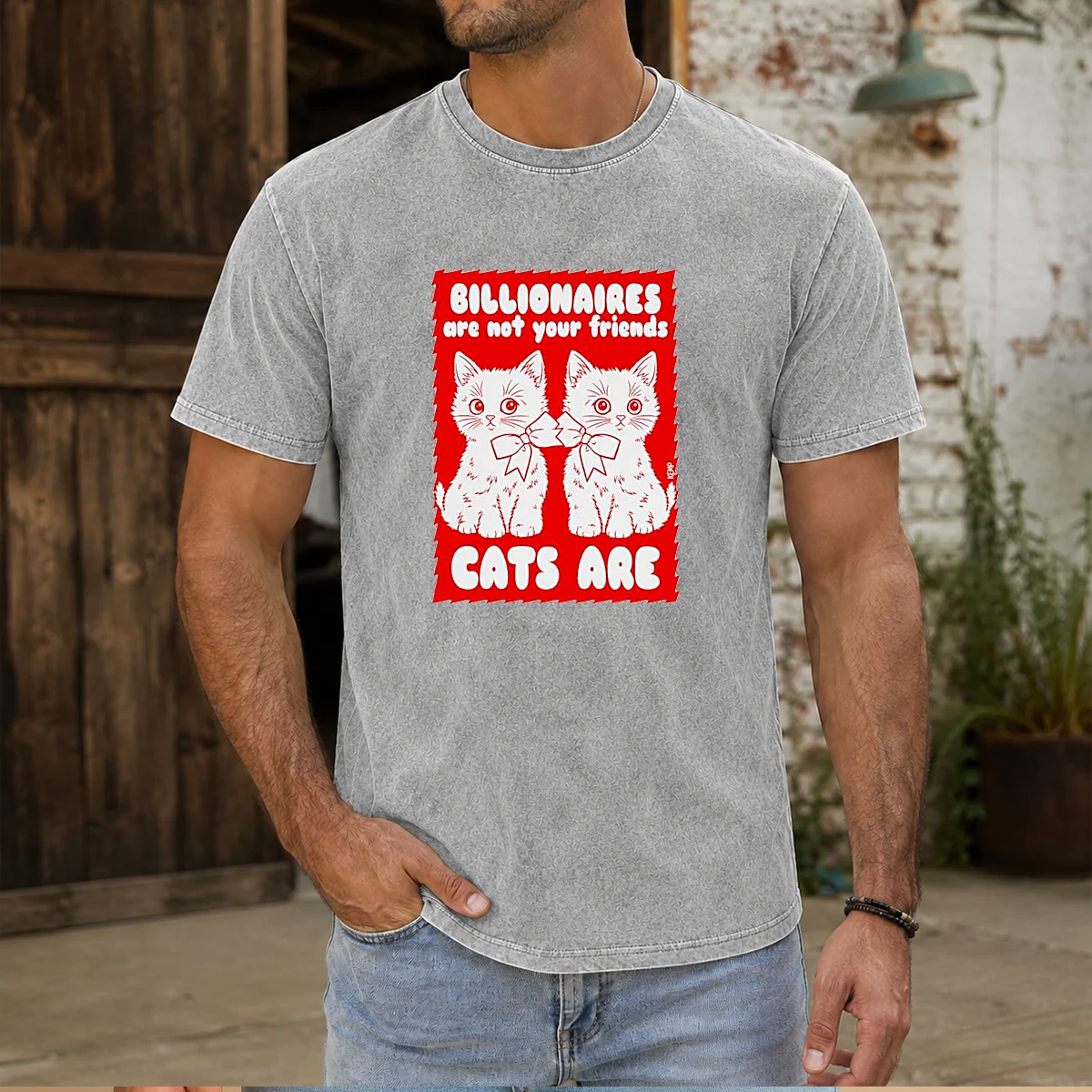 Funny Billionaires Are Not Your Friends Cats Are Kitten printed on a soft washed t shirt in light gray